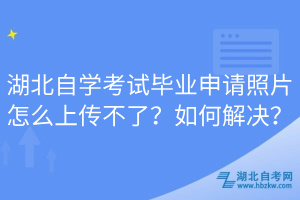 湖北自学考试毕业申请照片怎么上传不了？如何解决？