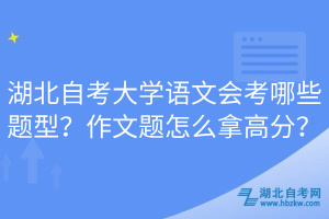 湖北自考大学语文会考哪些题型？作文题怎么拿高分？