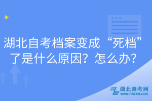 湖北自考档案变成“死档”了是什么原因？怎么办？