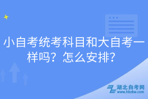 小自考统考科目和大自考一样吗？怎么安排？