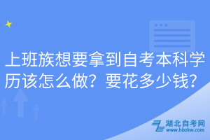 上班族想要拿到自考本科学历该怎么做？要花多少钱？