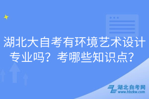 湖北大自考有环境艺术设计专业吗？考哪些知识点？