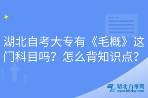 湖北自考大专有《毛概》这门科目吗？怎么背知识点？