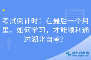 考试倒计时！在最后一个月里，如何学习，才能顺利通过湖北自考？