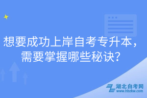 想要成功上岸自考专升本，需要掌握哪些秘诀？