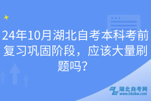 24年10月湖北自考本科考前复习巩固阶段，应该大量刷题吗？