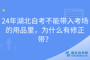 24年湖北自考不能带入考场的用品里，为什么有修正带？