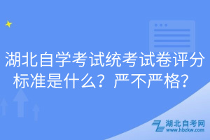 湖北自学考试统考试卷评分标准是什么？严不严格？