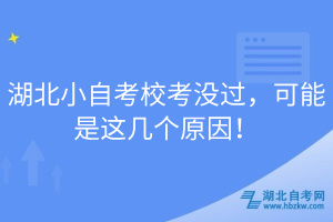 湖北小自考校考没过，可能是这几个原因！