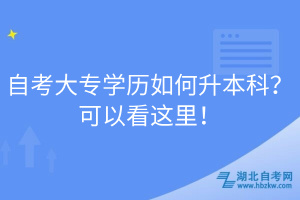 自考大专学历如何升本科？可以看这里！