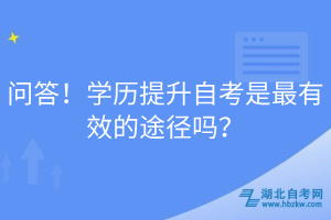 问答！学历提升自考是最有效的途径吗？