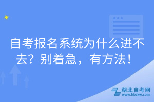 自考报名系统为什么进不去？别着急，有方法！