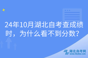 24年10月湖北自考查成绩时，为什么看不到分数？