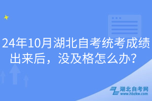 24年10月湖北自考统考成绩出来后，没及格怎么办？