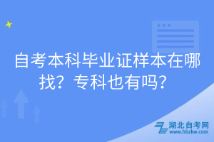 自考本科毕业证样本在哪找？专科也有吗？