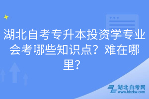 湖北自考专升本投资学专业会考哪些知识点？难在哪里？