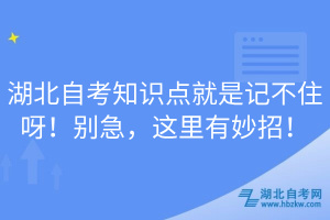 湖北自考知识点就是记不住呀！别急，这里有妙招！