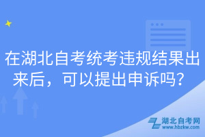 在湖北自考统考违规结果出来后，可以提出申诉吗？