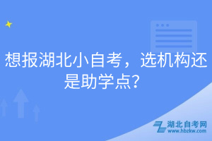 想报湖北小自考，选机构还是助学点？