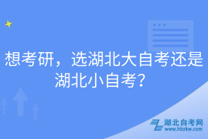 想考研，选湖北大自考还是湖北小自考？