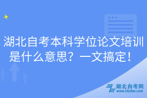 湖北自考本科学位论文培训是什么意思？一文搞定！