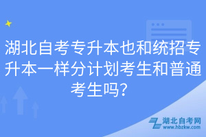 湖北自考专升本也和统招专升本一样分计划考生和普通考生吗？