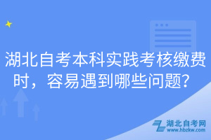 湖北自考本科实践考核缴费时，容易遇到哪些问题？