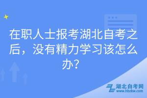 在职人士报考湖北自考之后，没有精力学习该怎么办？