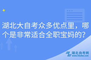 湖北大自考众多优点里，哪个是非常适合全职宝妈的？