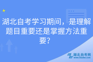 湖北自考学习期间，是理解题目重要还是掌握方法重要？