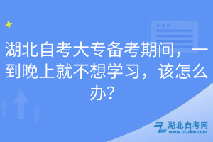 湖北自考大专备考期间，一到晚上就不想学习，该怎么办？