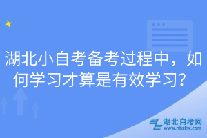 湖北小自考备考过程中，如何学习才算是有效学习？