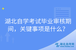 湖北自学考试毕业审核期间，关键事项是什么？