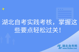 湖北自考实践考核，掌握这些要点轻松过关！