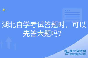 湖北自学考试答题时，可以先答大题吗？