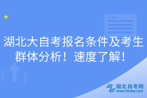 湖北大自考报名条件及考生群体分析！速度了解！