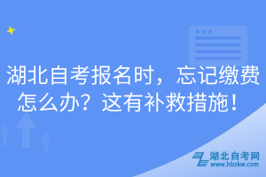 湖北自考报名时，忘记缴费怎么办？这有补救措施！