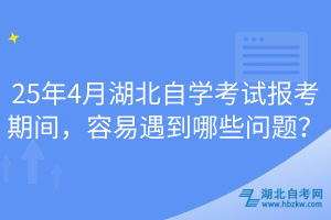 25年4月湖北自学考试报考期间，容易遇到哪些问题？