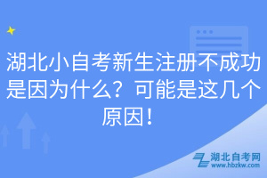 湖北小自考新生注册不成功是因为什么？可能是这几个原因！