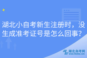 湖北小自考新生注册时，没生成准考证号是怎么回事？