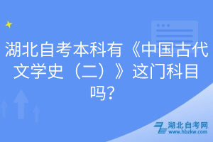 湖北自考本科有《中国古代文学史（二）》这门科目吗？