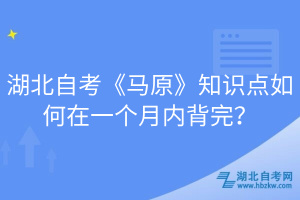 湖北自考《马原》知识点如何在一个月内背完？