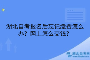 湖北自考报名后忘记缴费怎么办？网上怎么交钱？