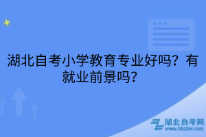 湖北自考小学教育专业好吗？有就业前景吗？