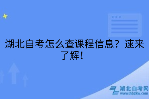 湖北自考怎么查课程信息？速来了解！