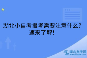 湖北小自考报考需要注意什么？速来了解！