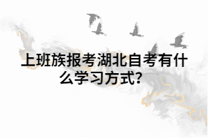 上班族报考湖北自考有什么学习方式？