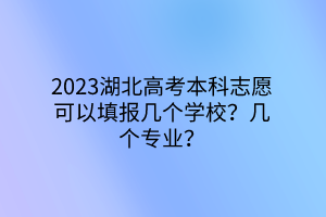 2023湖北高考本科志愿可以填报几个学校？几个专业？