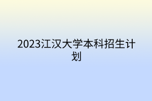 2023江汉大学本科招生计划