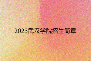 2023武汉学院招生简章